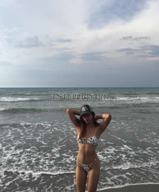 trans girl khelaDee 8517944 trans girl khelaDee 8517944