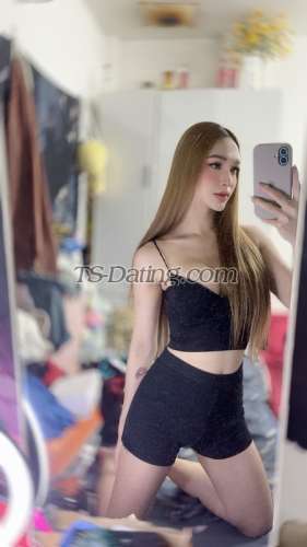 trans girl kimmykimmy 4493603 trans girl kimmykimmy 4493603