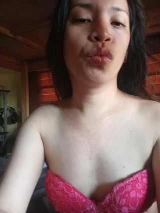 kittyfox 3133855 kittyfox 3133855