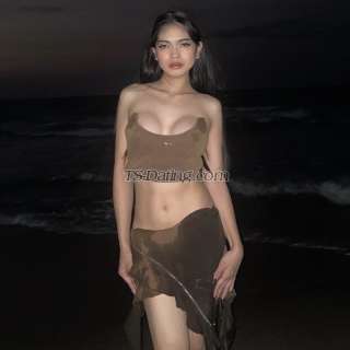 trans girl kittykang 7873268 trans girl kittykang 7873268