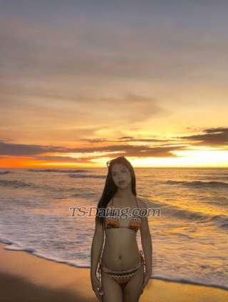 trans girl ksachi19 9038809 trans girl ksachi19 9038809