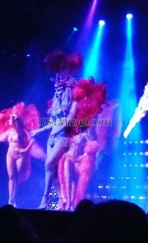 trans girl LACONTESSA 7041883 trans girl LACONTESSA 7041883