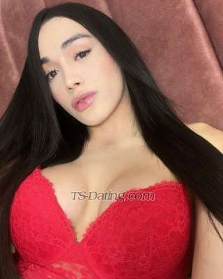 trans girl LAUCA 8571023 trans girl LAUCA 8571023