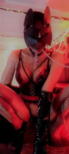 LadyAlphaTx 3383356 LadyAlphaTx 3383356