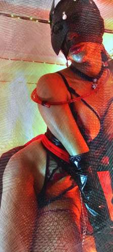 LadyAlphaTx 4093362 LadyAlphaTx 4093362