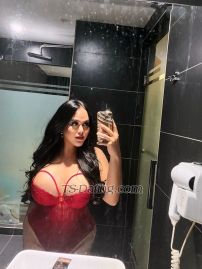 Ladyboycaca Kuala Lumpur Transex