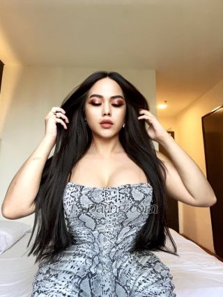 trans girl Ladyboycaca 3760931 trans girl Ladyboycaca 3760931