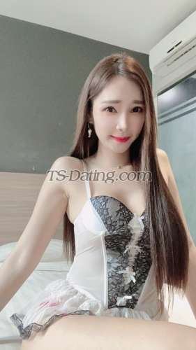 trans girl Ladydiana 4776487 trans girl Ladydiana 4776487