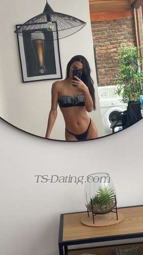 trans girl LaraB 8429553 trans girl LaraB 8429553