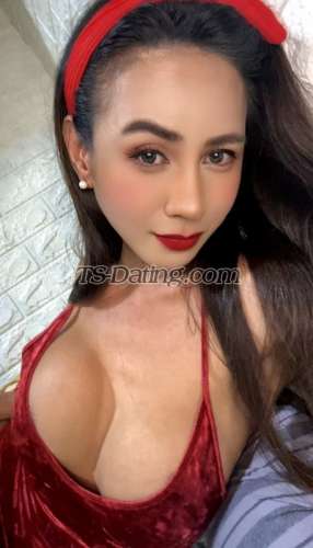 trans girl LatinaAnneX 9997570 trans girl LatinaAnneX 9997570