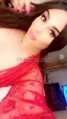 Layal Toronto Transex  Hey this is  Ts Arabic Layal  with 20 💖✨

💖
ارحب بالجميع زياره سبوع في اربيل 
للجادين  💖,All natural passable arabian charm and
beauty. Gorgeous with an hourglass figure, thick silky
hair,DD, full lips with very BIG treat for you😘.

5”7, 
✨Contact me for more details💖   My
💖✨Snapchat 💖noxxno2 💖


