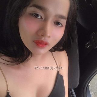 trans girl LbLara 1724499 trans girl LbLara 1724499