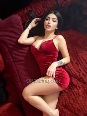 Leamoradian Beirut Transex أنا أعيش في بيروت المكان
متوفرأنا لست هنا لأضيع
وقتمرحبا يا حبيبي اسمي ليا .
أنا شيميل 21 سنة.أنا لبنانية أنا
هنا لأجعل كل خيالاتك حقيقية 
أبذل قصارى جهدي دائمًا لي كي تكون
سعيدا ، وأريد دائمًا أن أرى
ابتسامة على وجهك وأن تقوم
بزيارتي في المستقبل مرة أخرىI
live in beirut the place is available I am not here to
waste time Hello, my love, my name is Leah.  I'm Shimel
21 years old.I'm Lebanese.I'm here to make all your
fantasies real  I always do my best for me to make you
happy and I always want to see a smile on your face and for
you to visit me again in the future