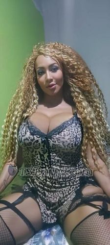 trans girl LeonelaSouza 3480269 trans girl LeonelaSouza 3480269