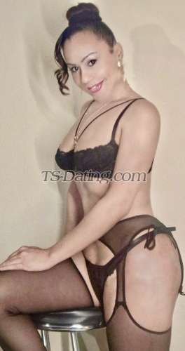 trans girl LeticiaTrans 2452601 trans girl LeticiaTrans 2452601