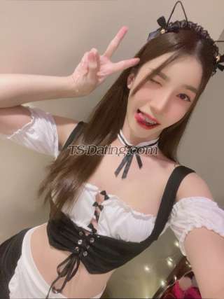 trans girl LiLinda 2503489 trans girl LiLinda 2503489