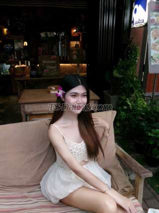 trans girl Lilin 6652439 trans girl Lilin 6652439