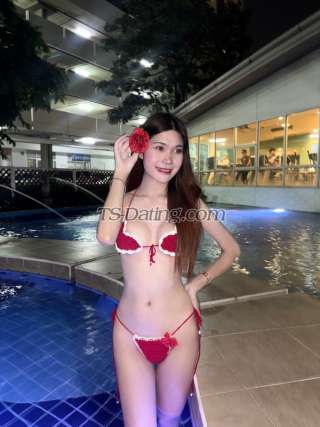 trans girl Lilin 6738583 trans girl Lilin 6738583