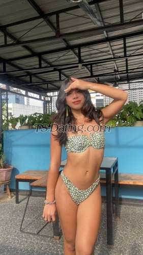 trans girl LittleCarla 2871780 trans girl LittleCarla 2871780