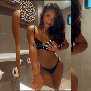 trans girl LittleCarla 8211334 trans girl LittleCarla 8211334