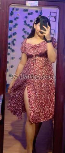 trans girl LizaaRoy 3271821 trans girl LizaaRoy 3271821