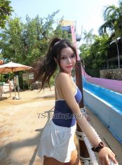 Love3675 Bangkok Transex Hi Boy, Are you ready to make your hot sex and make love cum true? 😛💦
I'm Venessa I’m half Thai - German 🇩🇪🇹🇭 from Thailand, I live in Sydney for vacation. I have beautiful skin and hair like a goddess of beauty, plus my big breasts and sexy figure make me perfect. Moreover, I have a very hot sex talent that I can give you crazy hot pleasure in bed. Sex with condom both ways, 69 on each other and many more .
I have many opinions service for you as you request. 

- Girlfriend experience
-  Hot sex ( 69, Ontop, )
-  Taking a shower for you 
Contract me
Local Number for Messages :
WeChat: Sky0800539451
Whatsapp: ‪+66 80 053 9451‬

Contact me about asking for pay rates 