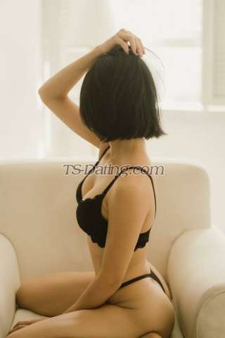 trans girl LoveMary 6582642 trans girl LoveMary 6582642