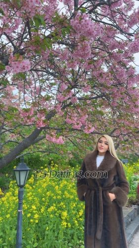 trans girl LoveNatasha 9674271