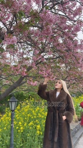 trans girl LoveNatasha 9674308