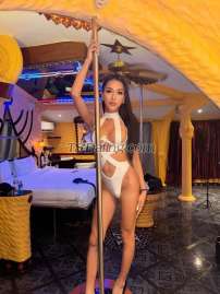 Lovepolly Bangkok Transex