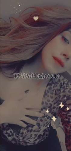 trans girl Lovey123 4950104 trans girl Lovey123 4950104