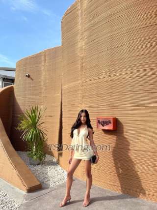 trans girl LustfulNicole 2514640 trans girl LustfulNicole 2514640