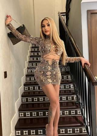 trans girl ladyboyfuckR 3053854 trans girl ladyboyfuckR 3053854