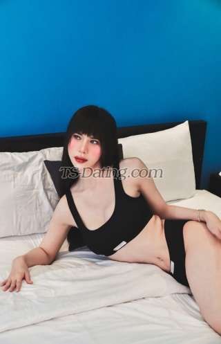 trans girl ladyboyhot11 7005027 trans girl ladyboyhot11 7005027