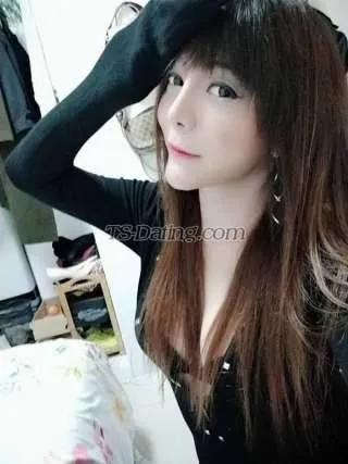 Shemale ladyboyyani 8426093 Shemale ladyboyyani 8426093