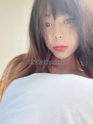 trans girl ladyboyyani 8617959 trans girl ladyboyyani 8617959