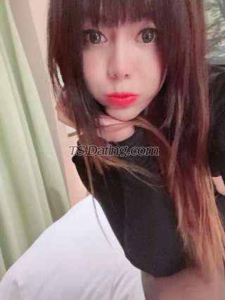 trans girl ladyboyyani 8618250 trans girl ladyboyyani 8618250