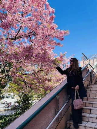 trans girl latifahadid 9807913 trans girl latifahadid 9807913