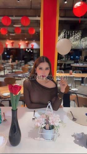 trans girl lauraamanda 9529875 trans girl lauraamanda 9529875