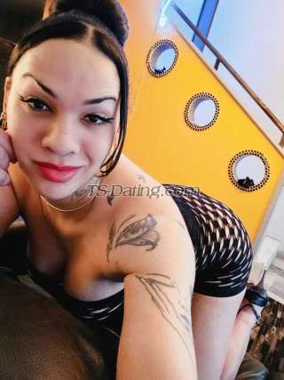 trans girl laysarodrigu 0688895 trans girl laysarodrigu 0688895