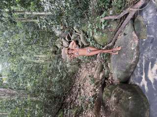 trans girl leticiamilk 8278945 trans girl leticiamilk 8278945