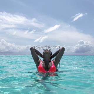 trans girl lia_tarinna 2929713 trans girl lia_tarinna 2929713