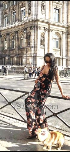 trans girl lia_tarinna 6902129 trans girl lia_tarinna 6902129