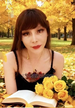 trans girl lifeifeier 1831456 trans girl lifeifeier 1831456