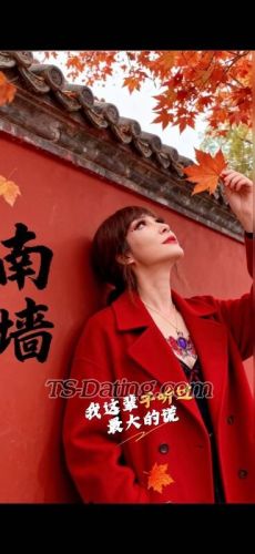 trans girl lifeifeier 1831501 trans girl lifeifeier 1831501