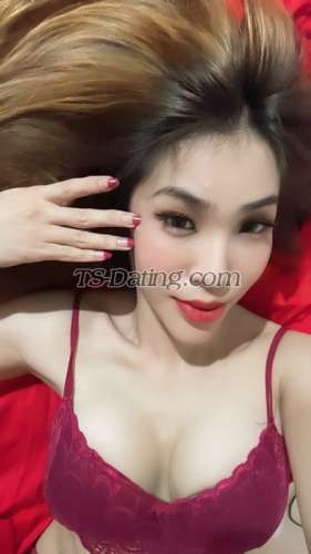 trans girl lily91 8177203 trans girl lily91 8177203