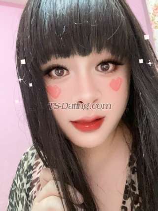 trans girl lisisi 3507675 trans girl lisisi 3507675