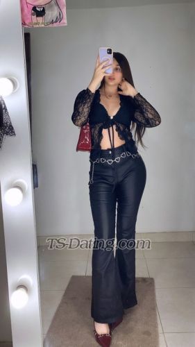 trans girl littlelauren 5681380