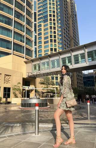 trans girl lohany 8896566 trans girl lohany 8896566