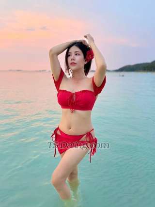 trans girl lotus2534 2150494 trans girl lotus2534 2150494